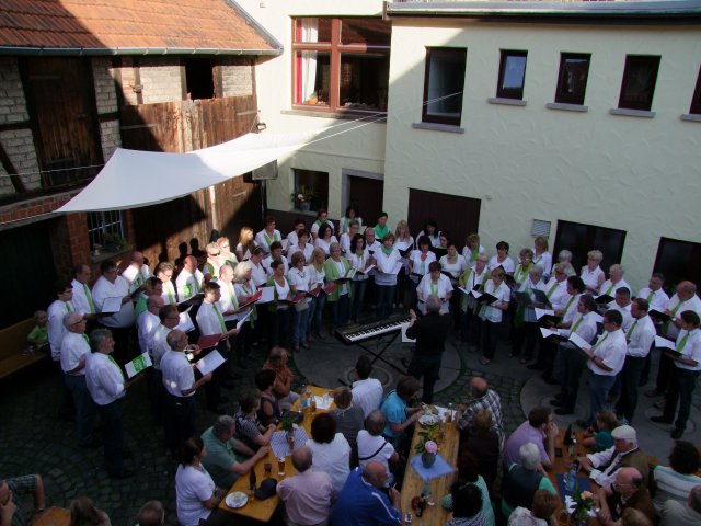 Eine kleine Hofmusik 22.6.2013 007